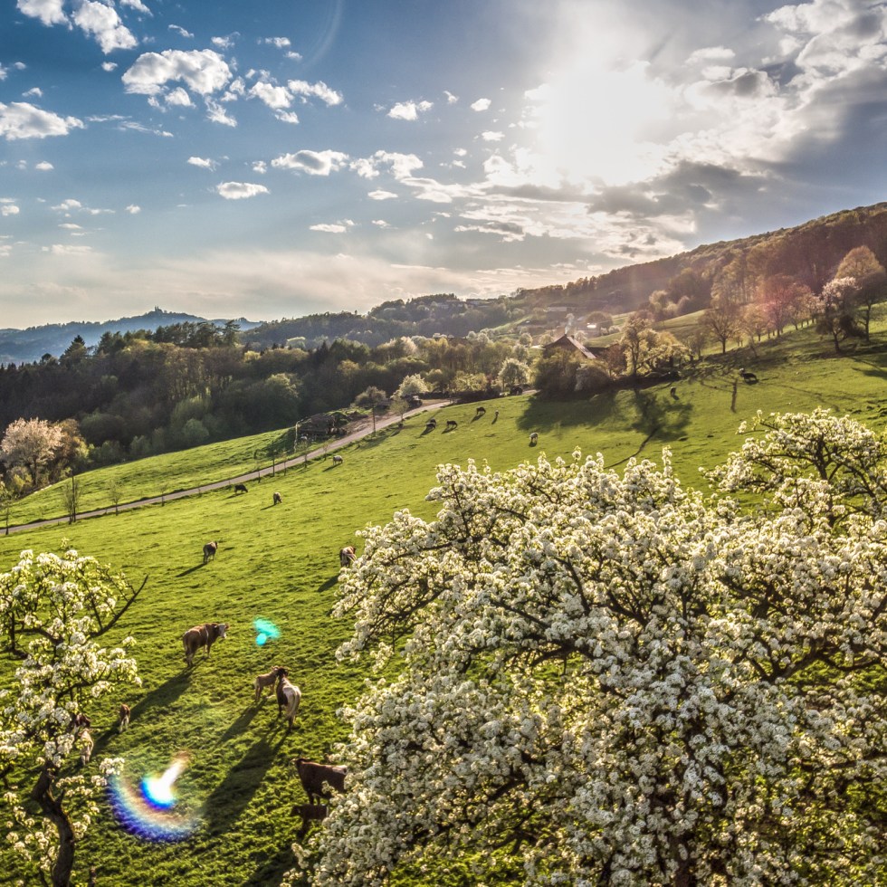 Phantom Drone Photography