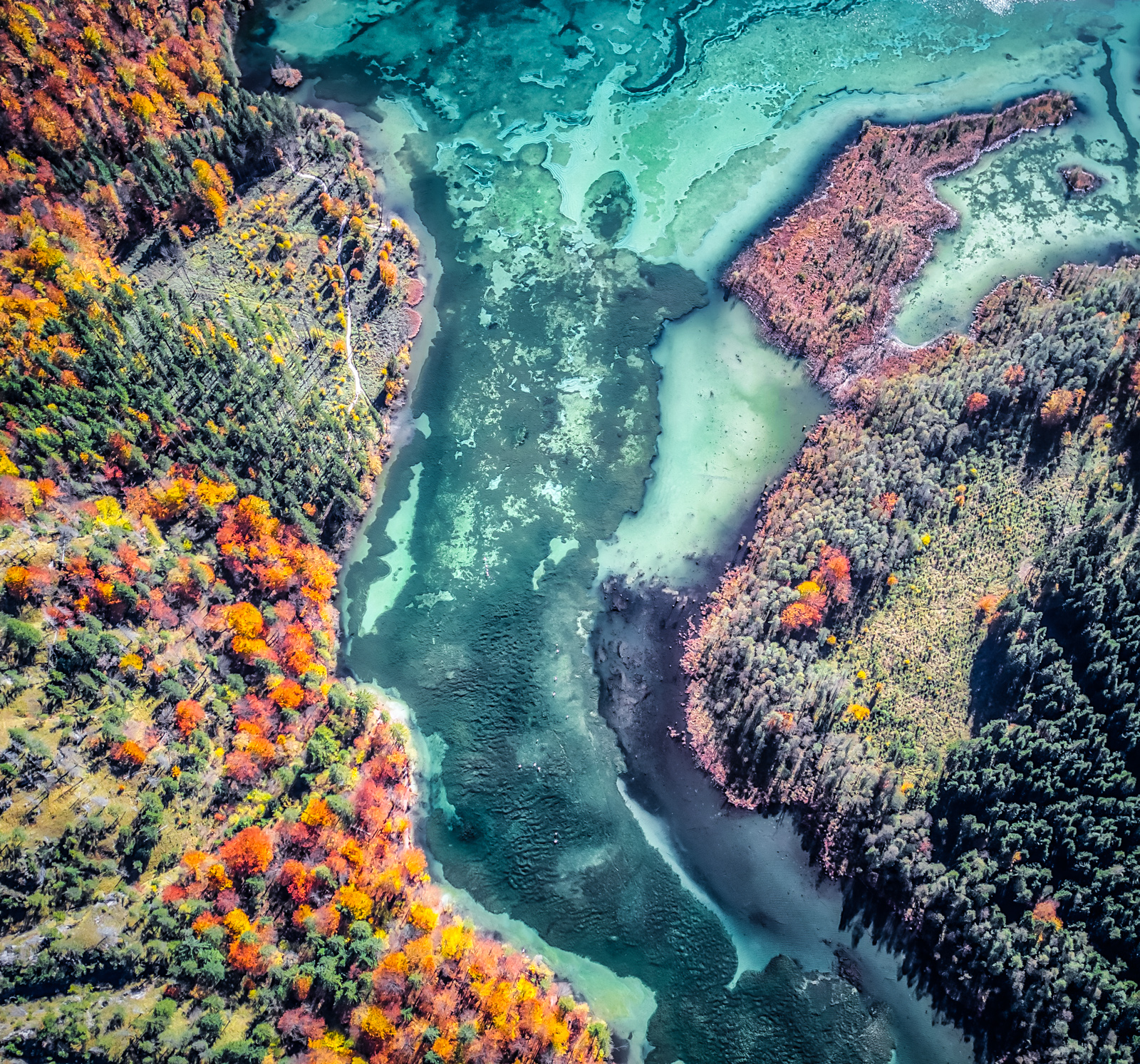 Drone Photography in Fall